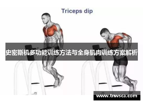 史密斯机多功能训练方法与全身肌肉训练方案解析