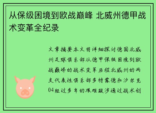 从保级困境到欧战巅峰 北威州德甲战术变革全纪录