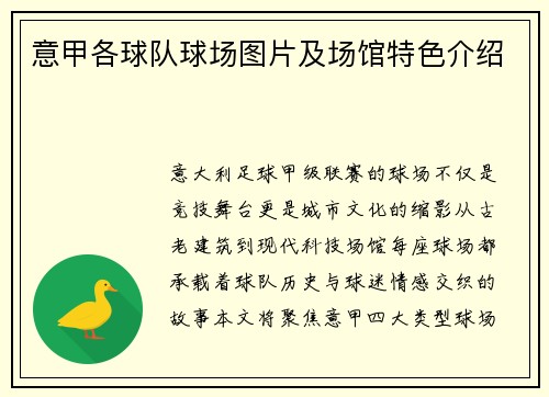 意甲各球队球场图片及场馆特色介绍